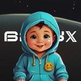 BabyX Portal