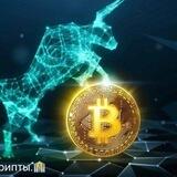 БАШ КРИПТЫ-01💸💸💸
