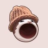Popcatwifhat com portal