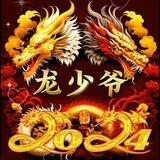 龙氏集团 各种项目