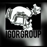 IGORGROUP