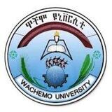 Wachamo Uni.Freshman (2016)