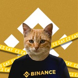 CZ Cat - Portal