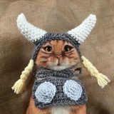 FLOKI Cat Portal