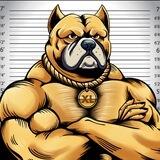 XLBully Coin