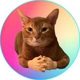 Cat Wif Hands Portal