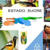 ✡ESTADO SUCRE 🇻🇪
