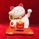 Maneki Neko News