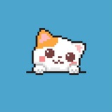 8BIT CAT
