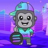 Chimp Coin Portal