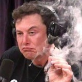 Elons Blunt
