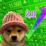 dogwifhat 2.0 portal