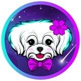 Myza The Dog | Myro's Girl Friend