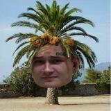 PALMACOIN