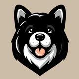 Drake’s Dog | Diamond | Burned Lp
