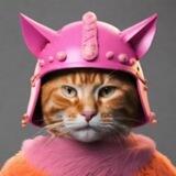 CatWifHelmet - PINKSALE FL