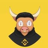 BNBULL PORTAL 🔶🐂