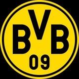 $BVB Solana Portal