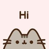 PUSHEEN CAT