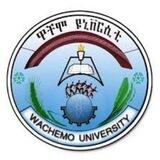 Wachemo University 2016