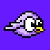SolyBird Official