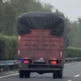 李唐Yo