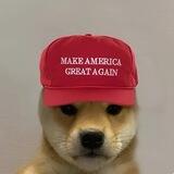 dogwifmaga - $WIFMAGA | Solana
