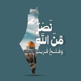 فريق السعادة 🇪🇬 دعم غزة 🇵🇸 Gaza