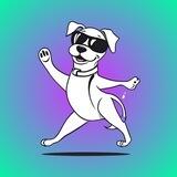 DancingDog l SolanaChain