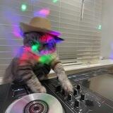 DJ CAT CTO