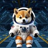 Baby Satellite Doge-1 Mission Portal