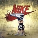 $AIR | Cat Wif Jordan | Portal