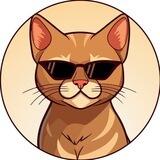 Schrodinger $DINGER [Elon's CAT] on BASE