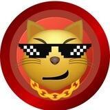 AMOG 😼👊| PORTAL