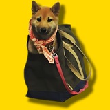 doginbag - PORTAL - VERIFY
