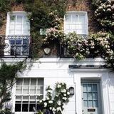 Gloomienous Under Bloomth, Luminous like a radiance without touch, amidst the gloom bloom a flowers.