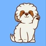 Shizu Token $SZU 🐶