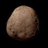 POTATO | PORTAL