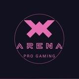 Arena Pro Cyber Club