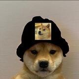 DOGEWIFHAT | SOL | PORTAL