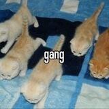 gamg!