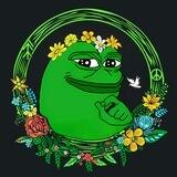 PeacePEPE | Built on BNB Chain