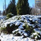 Фотограф/Мариуполь