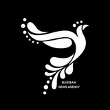 بریدان نیوز| Baridan News