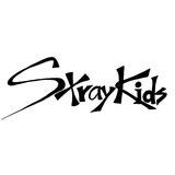 Stray kids, informationℹ️