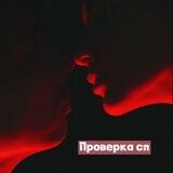 проверка сп.