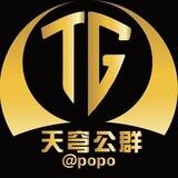 公群12天子大小额代收付 承兑 押金5888u