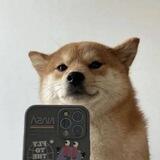 Selfie Dog - Verify