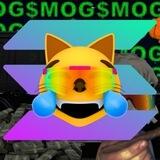portal $🫵😹