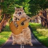 Музыкальный ПердЮмонокль🎼